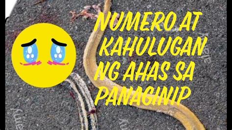 numero ng ahas sa panaginip|Numero at panaginip .